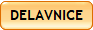 DELAVNICE